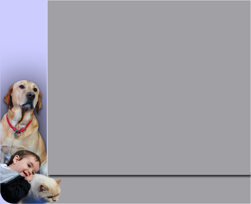 guardia veterinaria 24hs veterinario a domicilio consultorios veterinarios urgencias 24hs medicina prepaga para mascotas